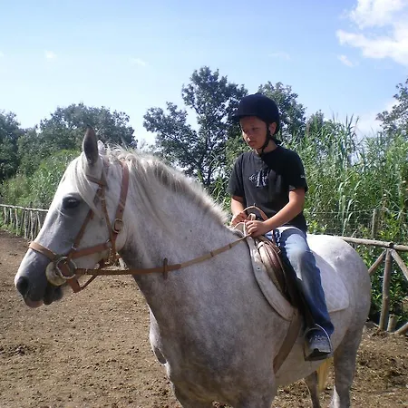 La Riserva Montebello Çiftlik konaklama Bolsena