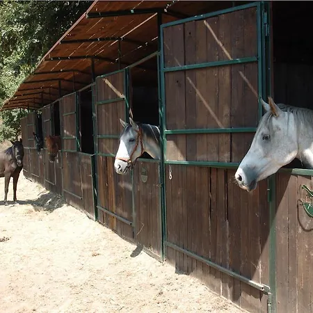 Çiftlik konaklama La Riserva Montebello *