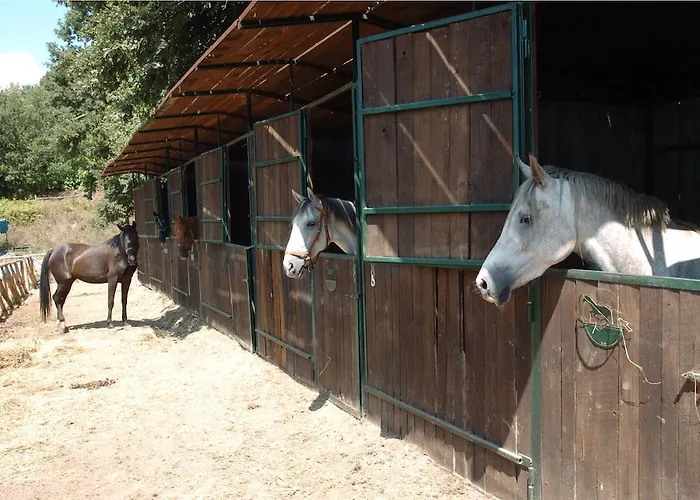 Farm stay La Riserva Montebello *